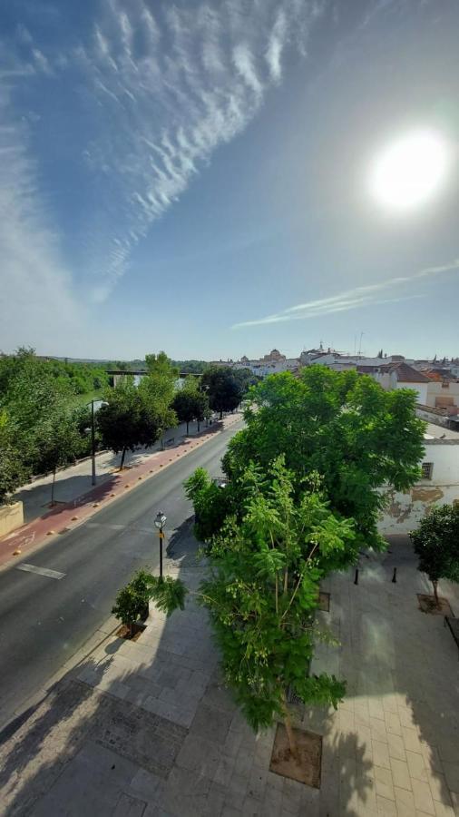 Apartamentos Ribera 19 Kordoba Zewnętrze zdjęcie
